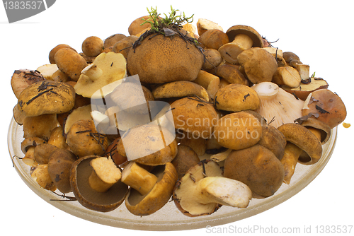 Image of The mushrooms in the dish.