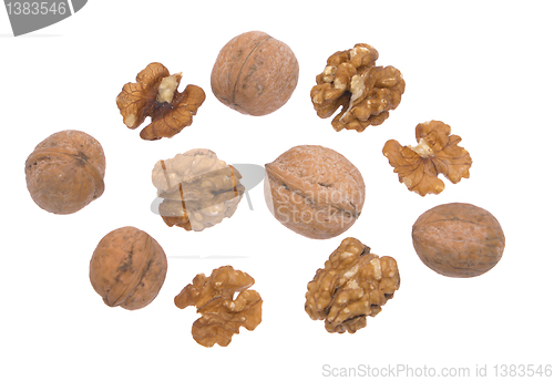 Image of Nuts.