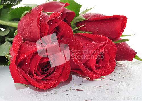 Image of red roses