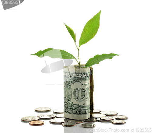 Image of money