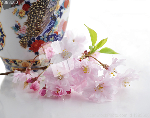 Image of cherry flowers and vase