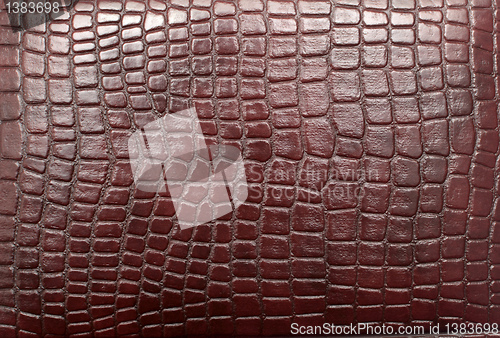 Image of leather