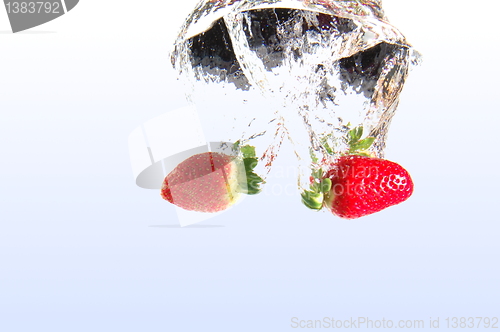 Image of strawberry in water