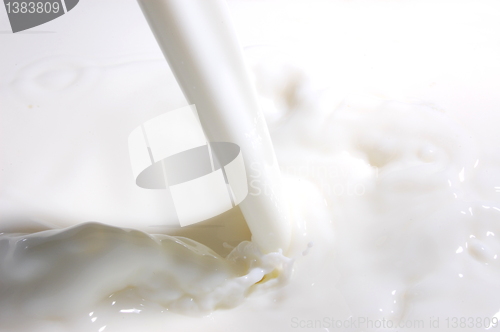 Image of milk splash