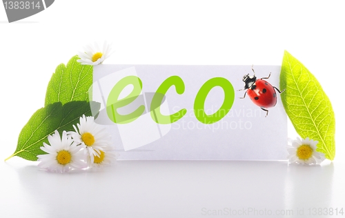 Image of eco