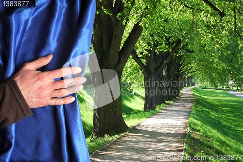 Image of landscape behind blue curtain