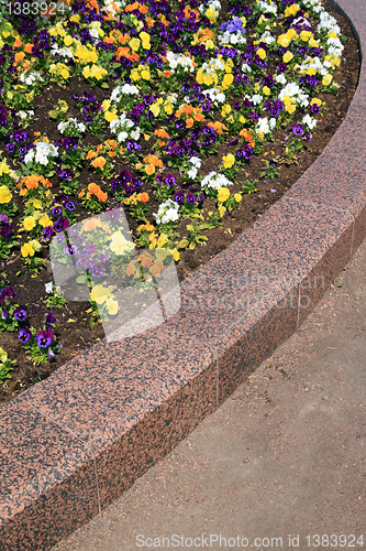 Image of decorative flowerses on town lawn