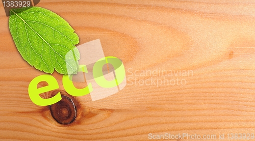 Image of eco