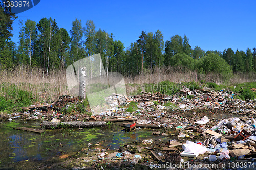 Image of garbage pit in wood