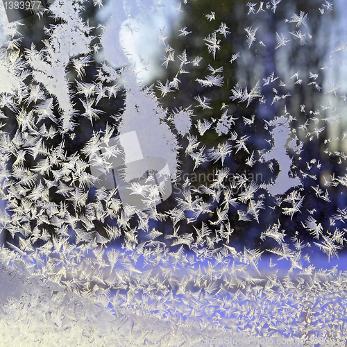 Image of ice crystal on winter window