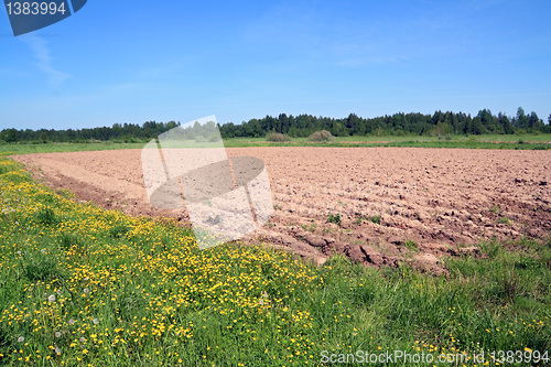 Image of plow field