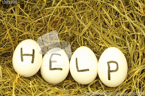 Image of help