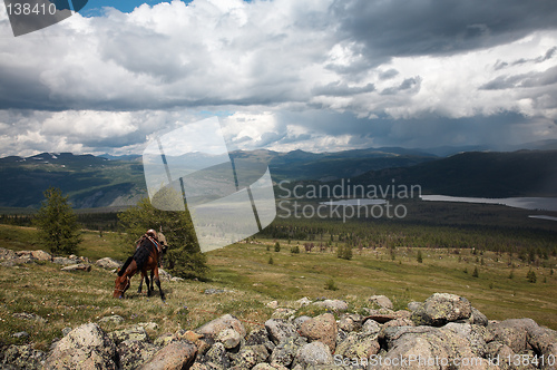 Image of Horse in Sayan mountains