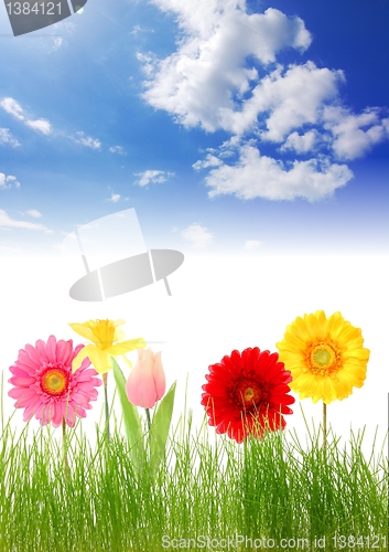 Image of nature