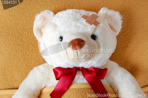 Image of sick teddy