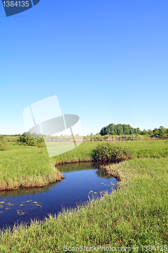 Image of small river on green field