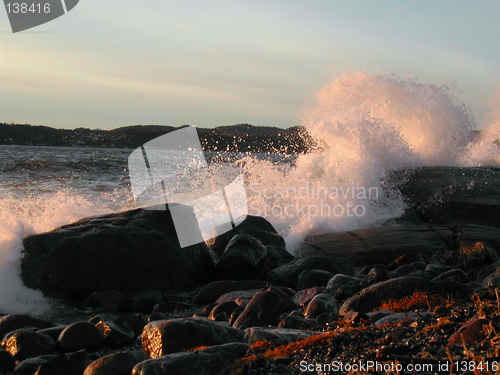 Image of Sea-spray