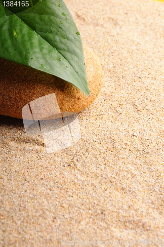 Image of zen