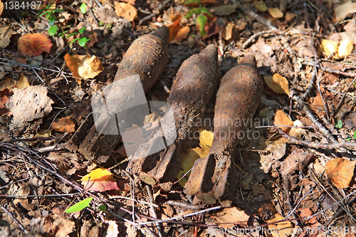 Image of mines from grenade launcher on herb