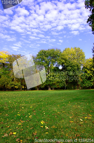 Image of fall in the park with green trees under blue sky