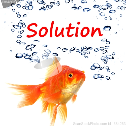 Image of solution