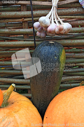 Image of vegetable set near old fence
