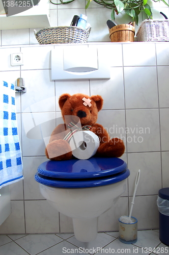 Image of toy teddy bear on wc toilet