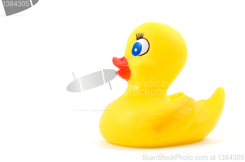 Image of toy rubber duck 