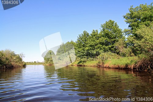 Image of oak wood on coast river 