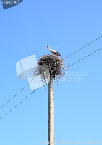 Image of crane on pole in jack