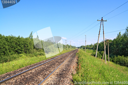 Image of railway amongst green wood