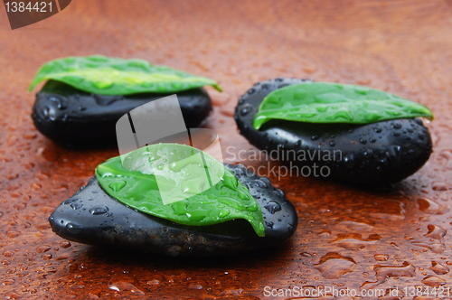 Image of zen concept with stones and leaves