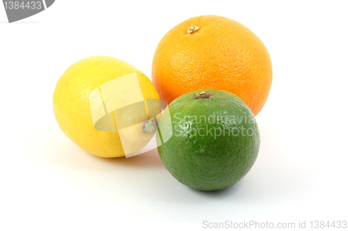 Image of lemon orange and citron fruit