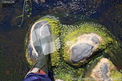 Image of leg on stone in river flow