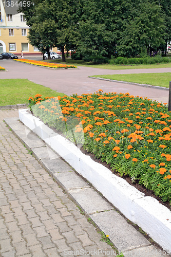 Image of lawn in town park