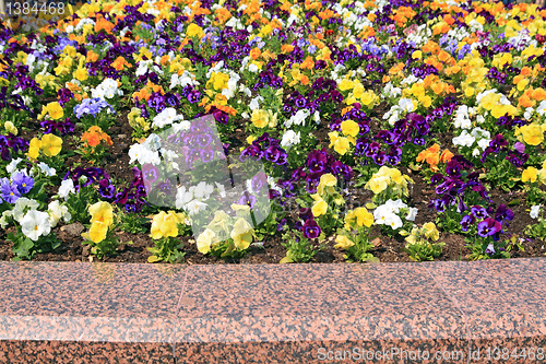 Image of summer flowerses on town lawn