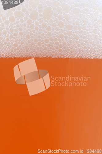 Image of glass of beer