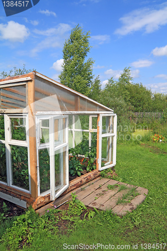 Image of wooden hothouse in summer garden