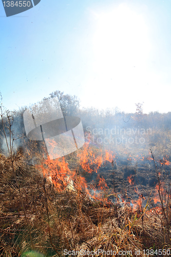Image of fire on autumn field 