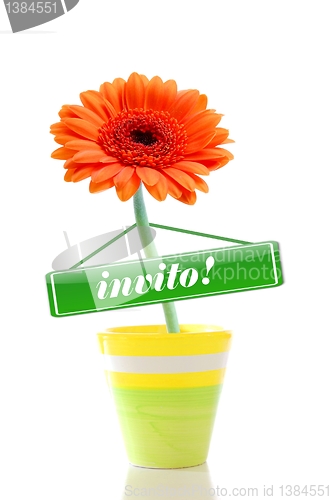 Image of invitation