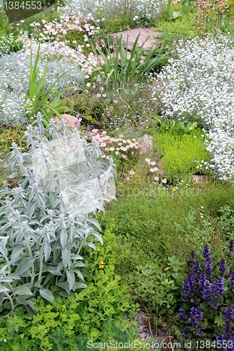 Image of decorative flowerses on town lawn