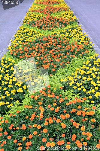 Image of lawn in town park