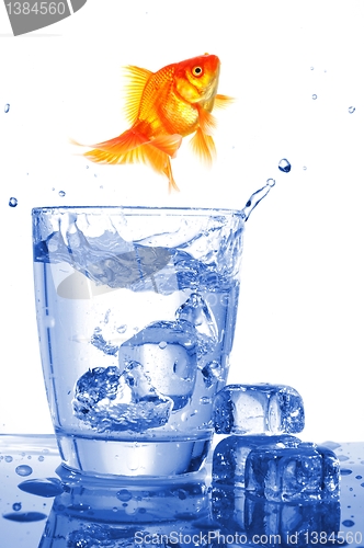 Image of goldfish in glass water