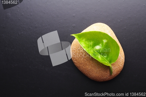Image of zen stones