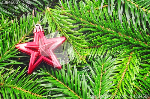 Image of christmas still life