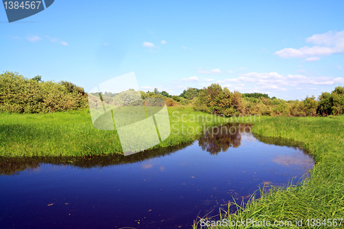 Image of small river on summer field