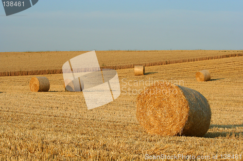 Image of hay bales