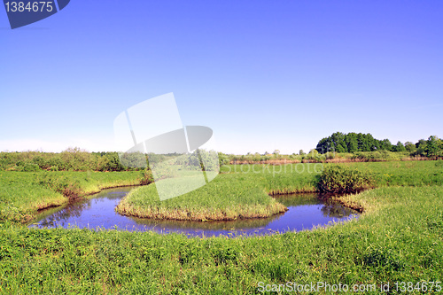 Image of small river on green field