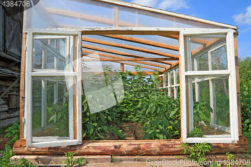 Image of wooden hothouse in summer garden