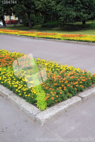 Image of lawn in town park